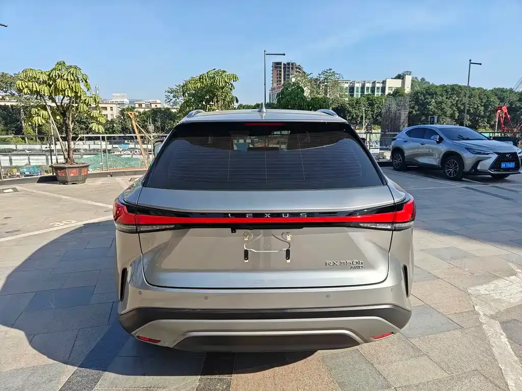 Lexus RX 2024 из CN, фото 10
