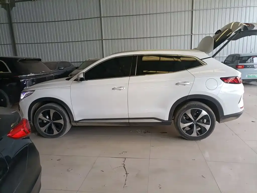 BYD PLUS New Energy 2023 из CN, фото 5