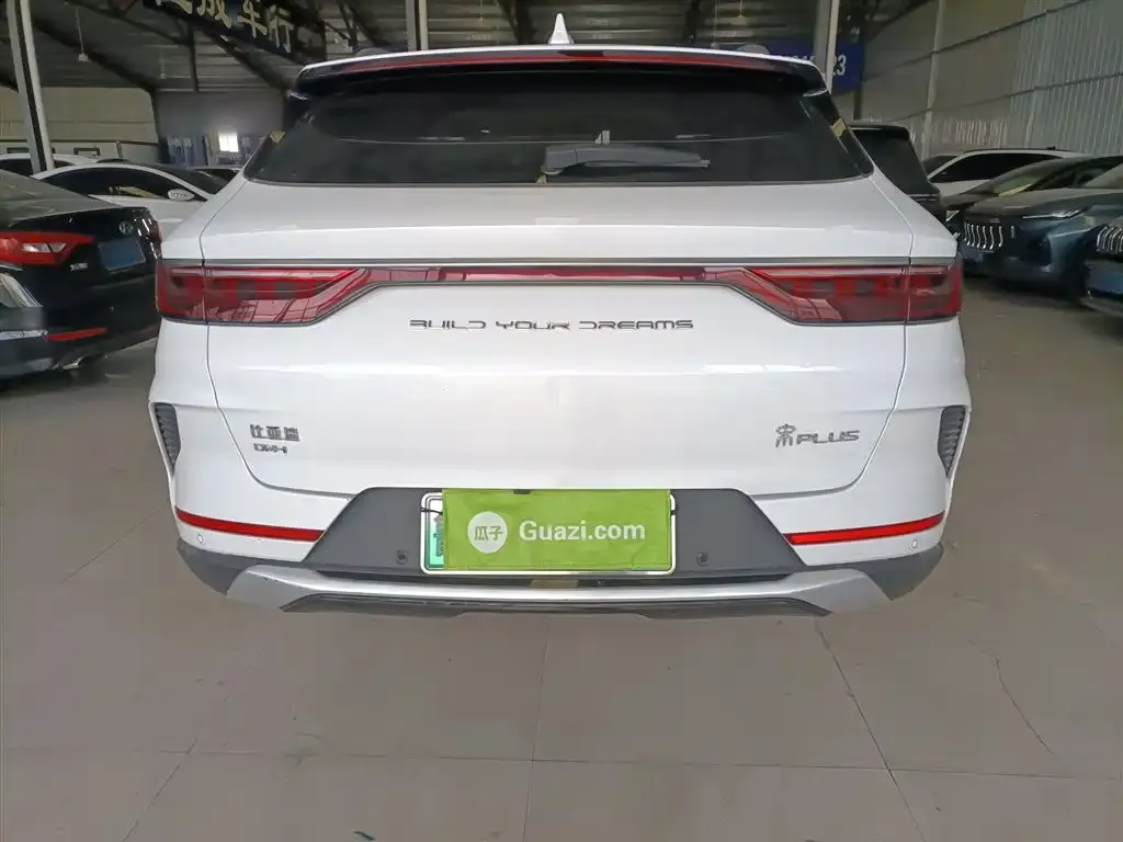 BYD PLUS New Energy 2023 из CN, фото 6
