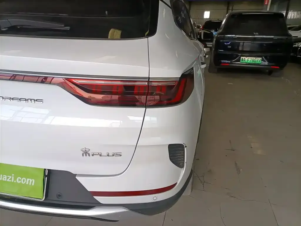BYD PLUS New Energy 2023 из CN, фото 8