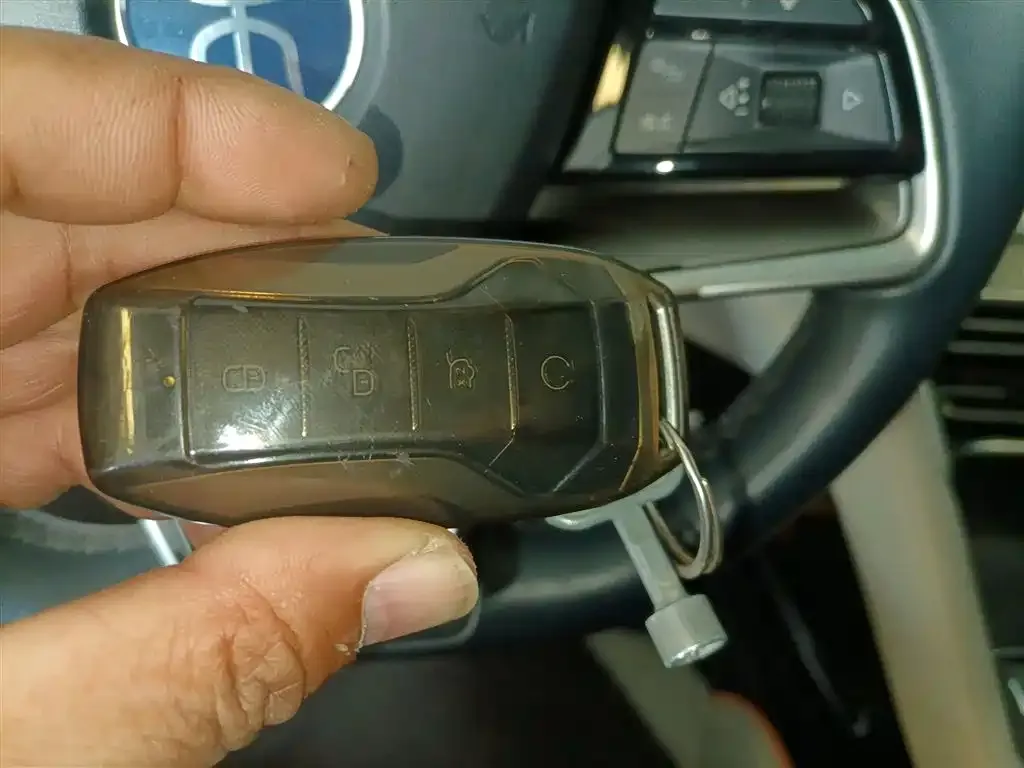 BYD PLUS New Energy 2023 из CN, фото 9