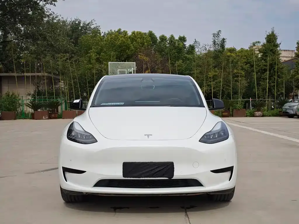 Tesla Model Y — фото 2