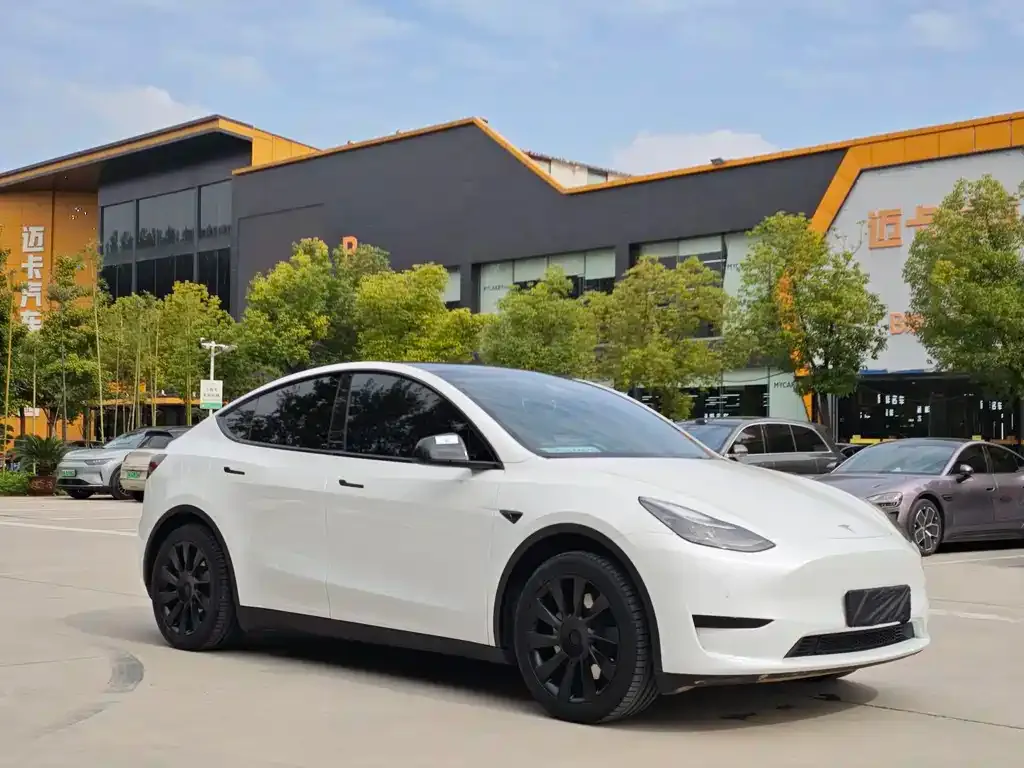 Tesla Model Y — фото 3
