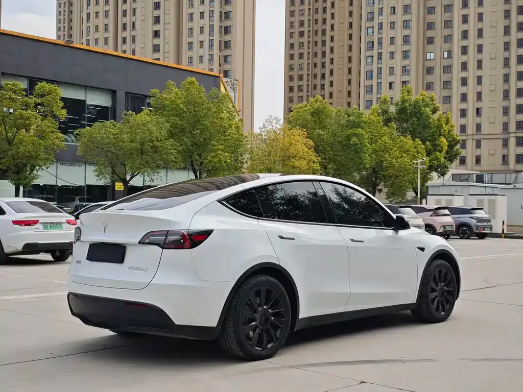 Tesla Model Y — фото 4