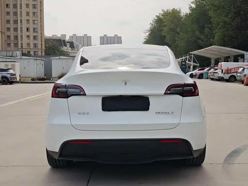 Tesla Model Y — фото 5