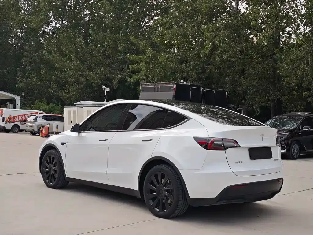 Tesla Model Y — фото 6
