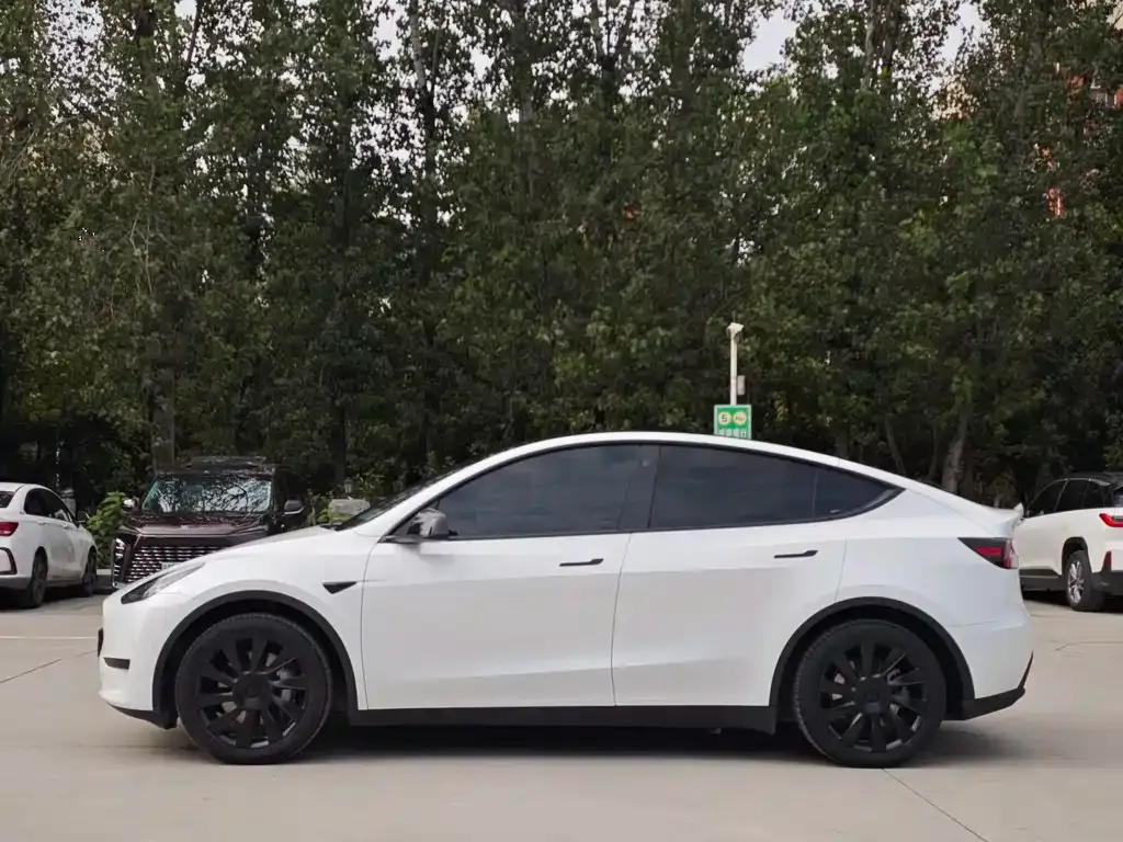 Tesla Model Y — фото 7