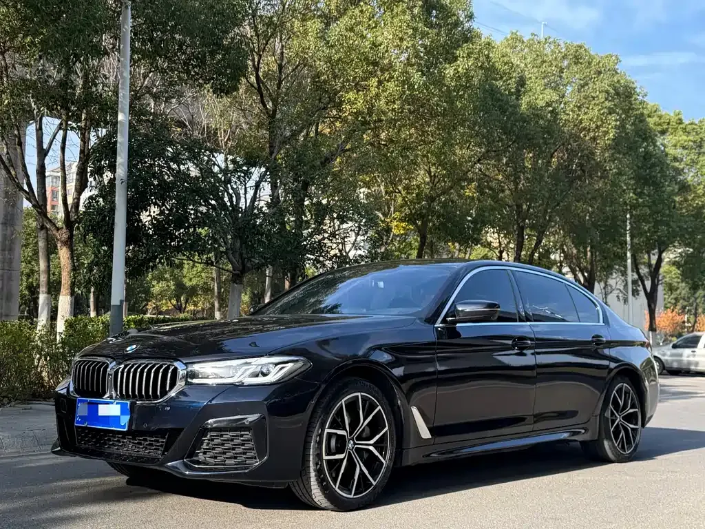 BMW 5 Series 2023 из CN, фото 1