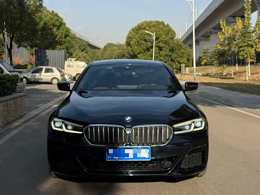 BMW 5 Series 2023 из CN, фото 2