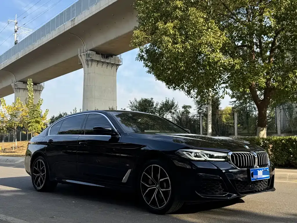 BMW 5 Series 2023 из CN, фото 3