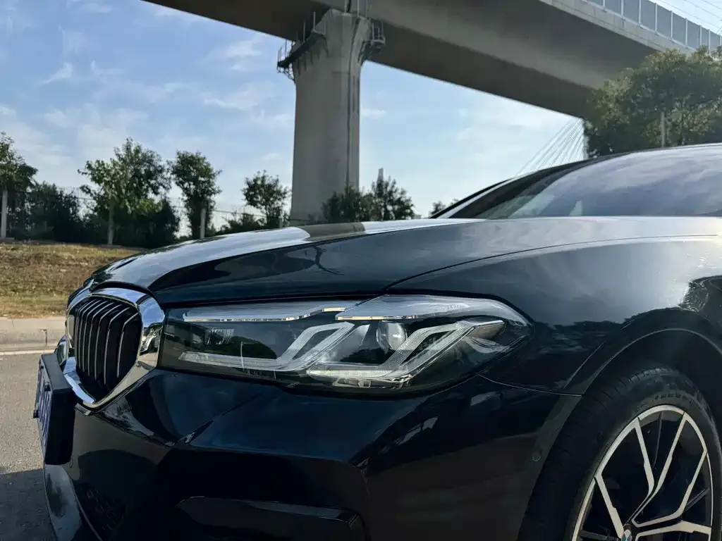 BMW 5 Series 2023 из CN, фото 9