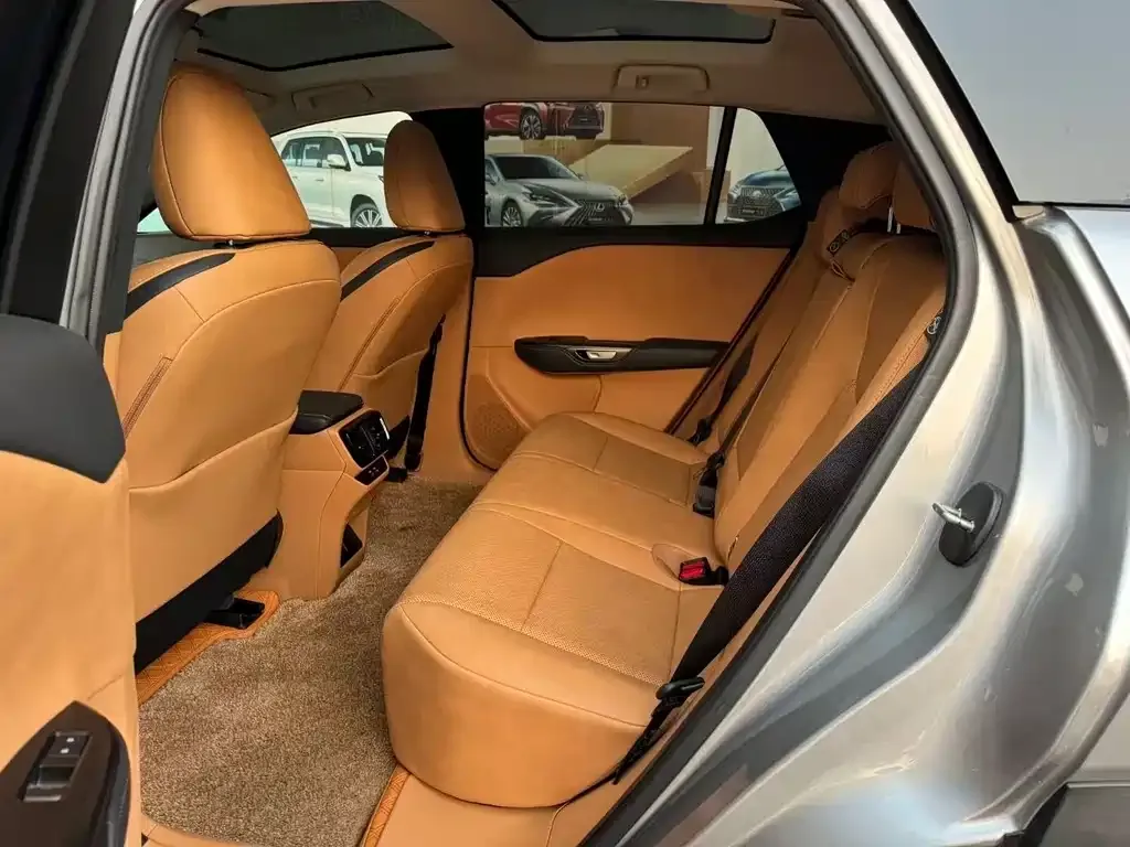 Lexus RZ 2024 из CN, фото 9