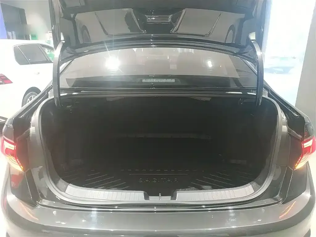 Volkswagen Sagitar 2024 из CN, фото 9