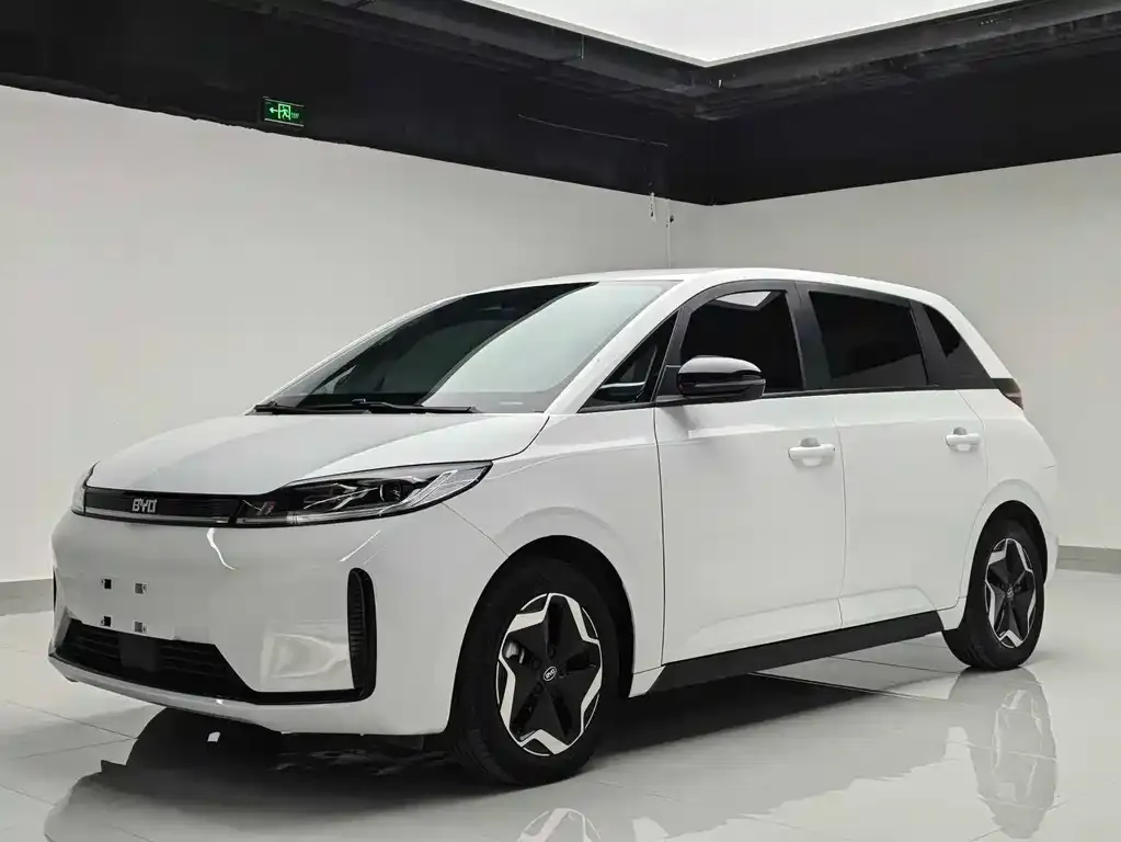 BYD D1 2023 из CN, фото 1