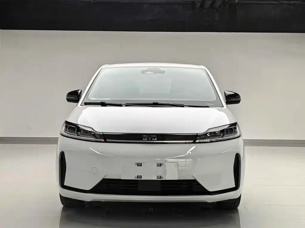 BYD D1 2023 из CN, фото 2