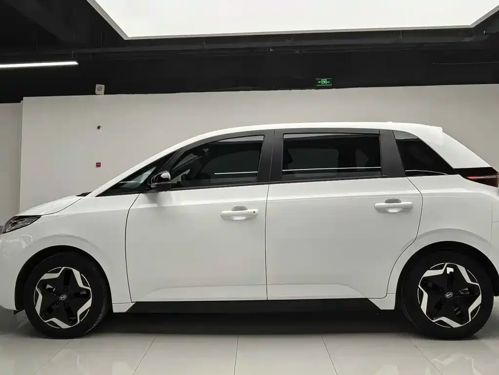 BYD D1 2023 из CN, фото 4