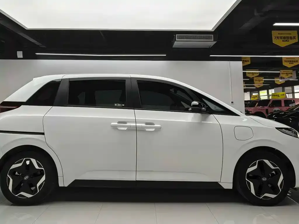 BYD D1 2023 из CN, фото 5