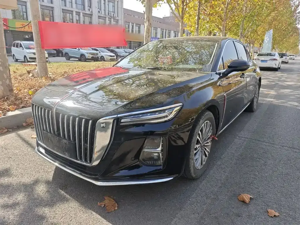Hongqi H5 2023 из CN, фото 2