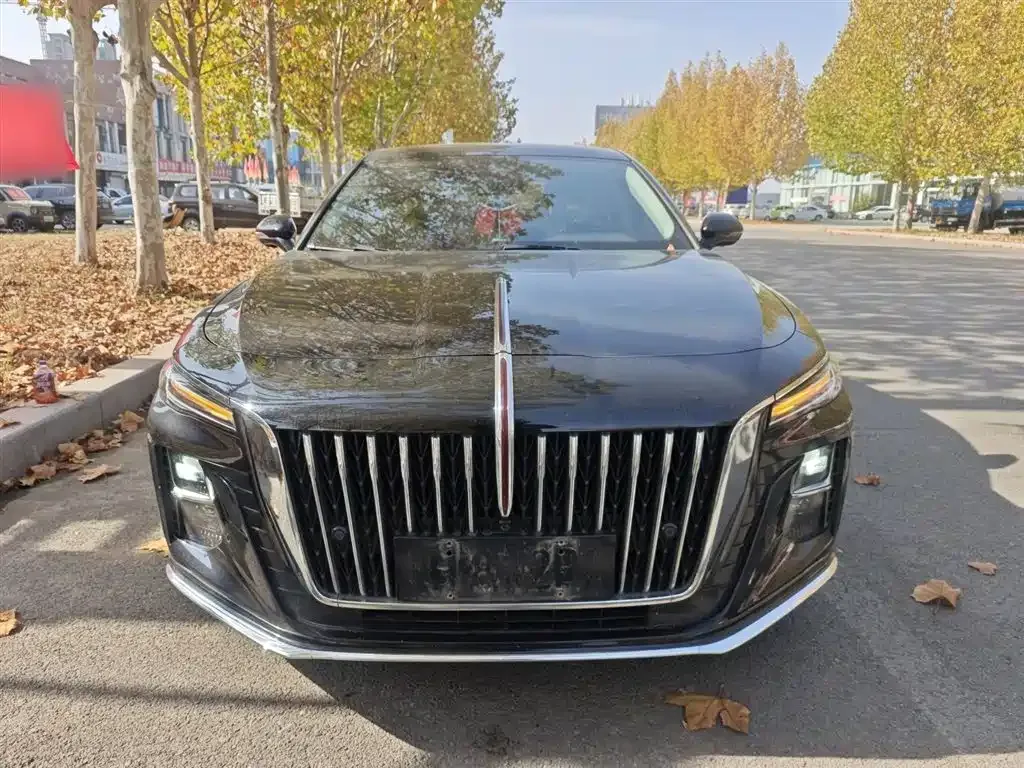 Hongqi H5 2023 из CN, фото 3