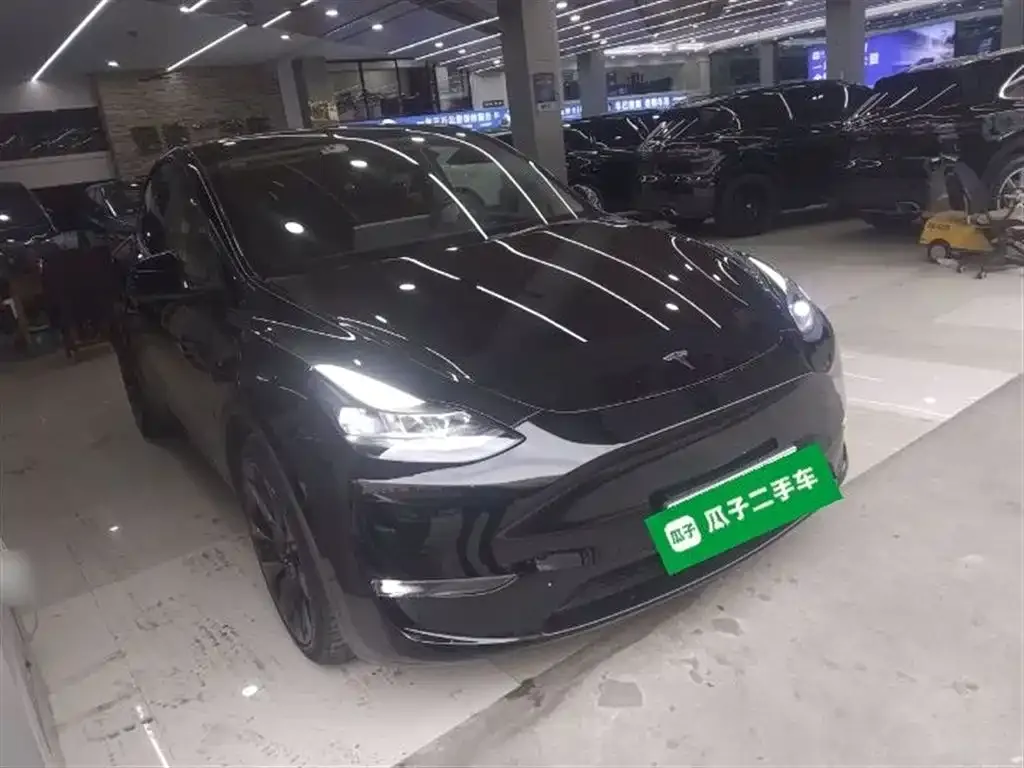 Tesla Model Y 2021 из CN, фото 4