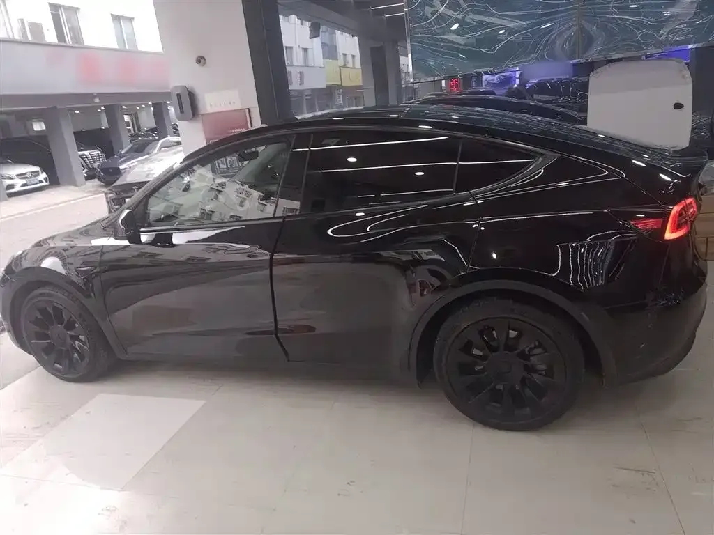 Tesla Model Y 2021 из CN, фото 5
