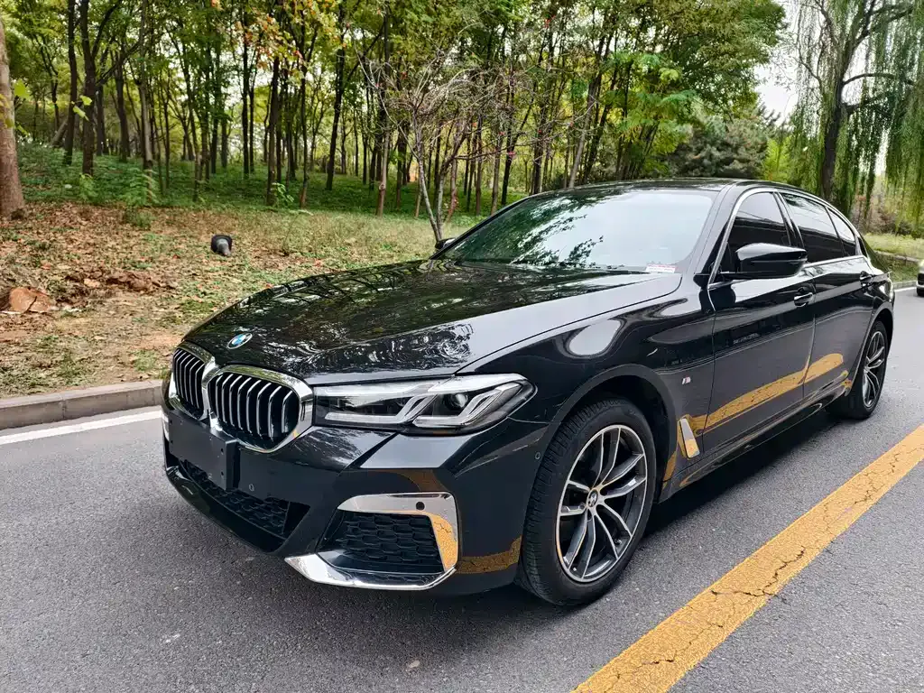 BMW 5 Series 2023 из CN, фото 2