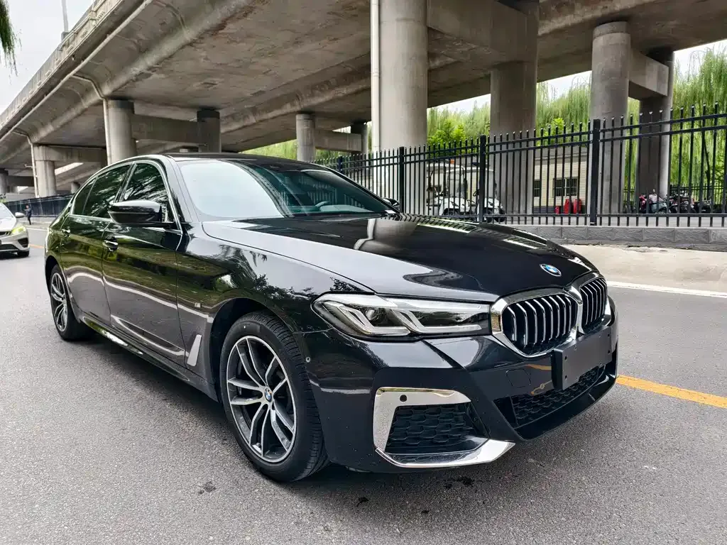 BMW 5 Series 2023 из CN, фото 3