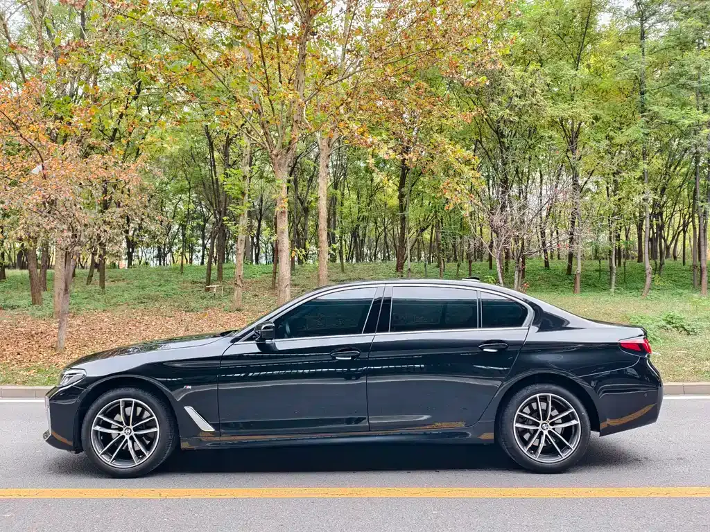 BMW 5 Series 2023 из CN, фото 5