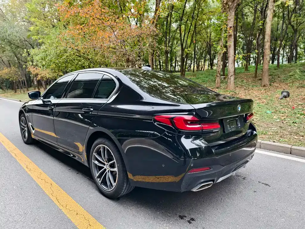 BMW 5 Series 2023 из CN, фото 7