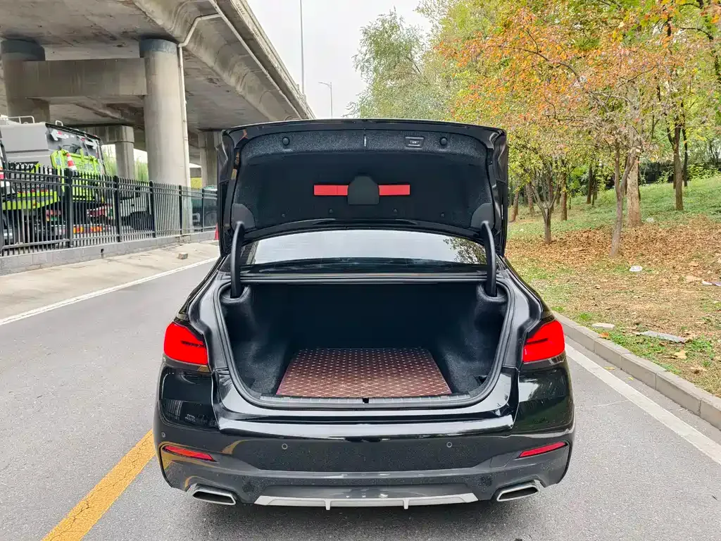 BMW 5 Series 2023 из CN, фото 9