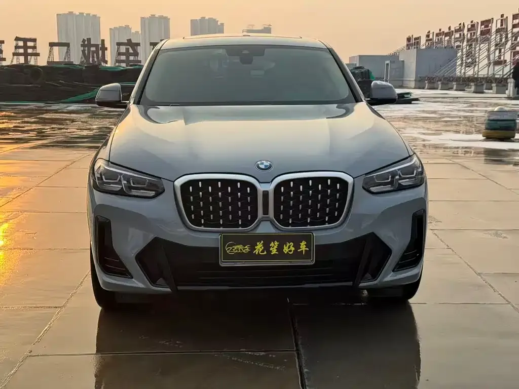 BMW X4 2022 из CN, фото 2