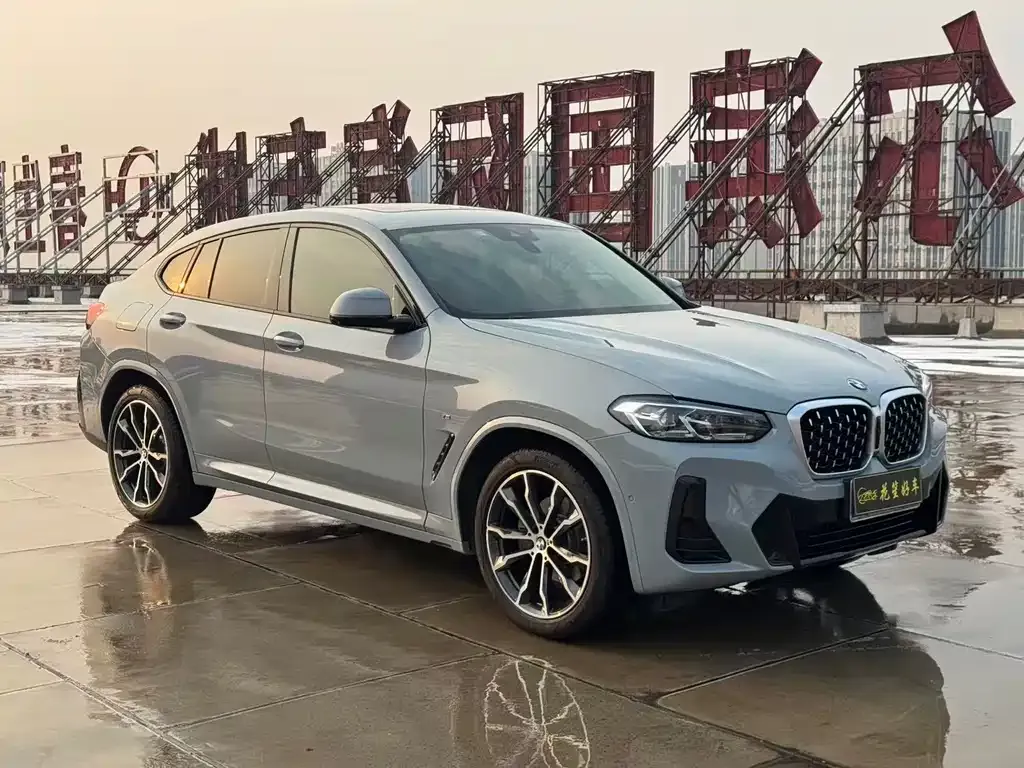 BMW X4 2022 из CN, фото 3