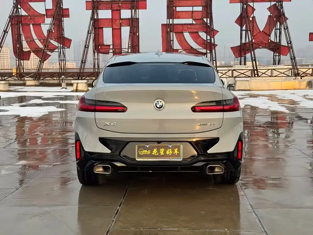 BMW X4 2022 из CN, фото 6