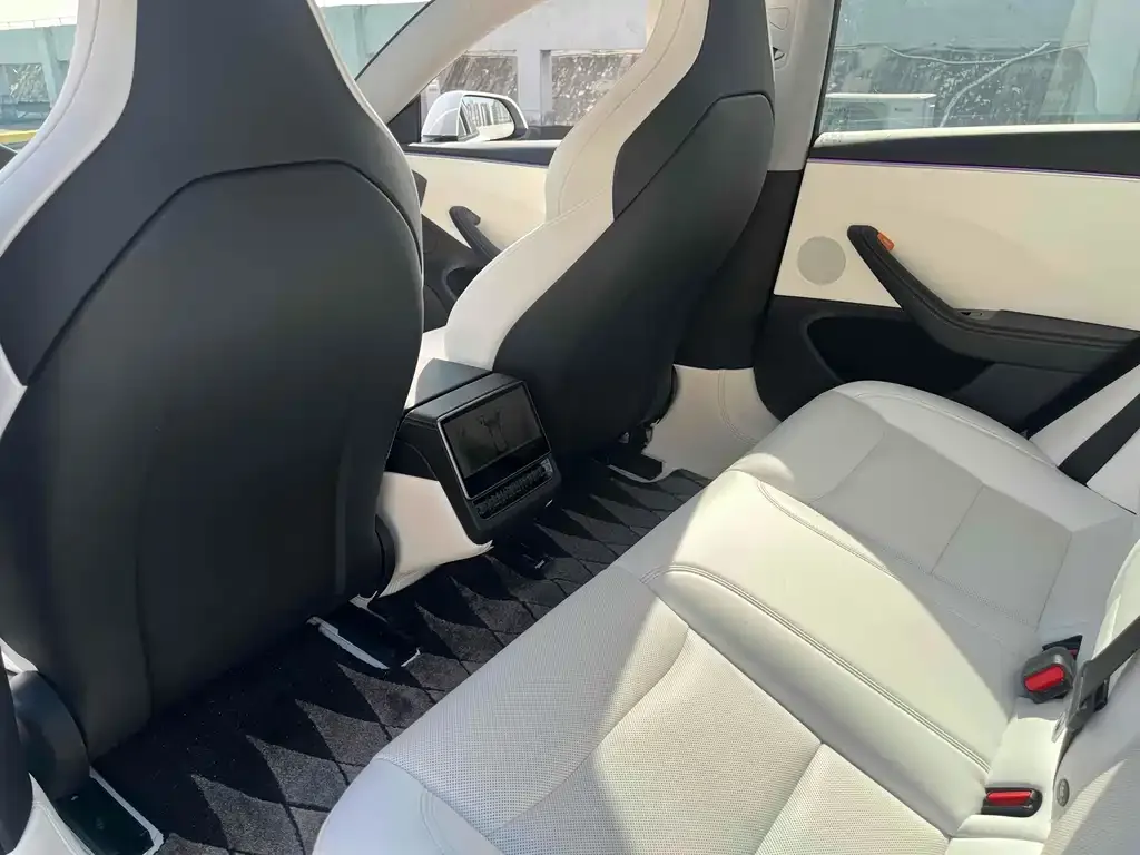 Tesla Model 3 2024 из CN, фото 9
