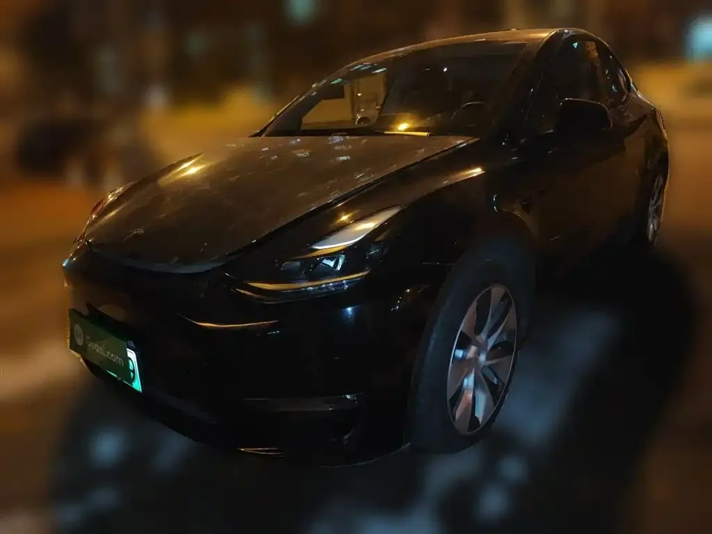 Tesla Model Y 2021 из CN, фото 1