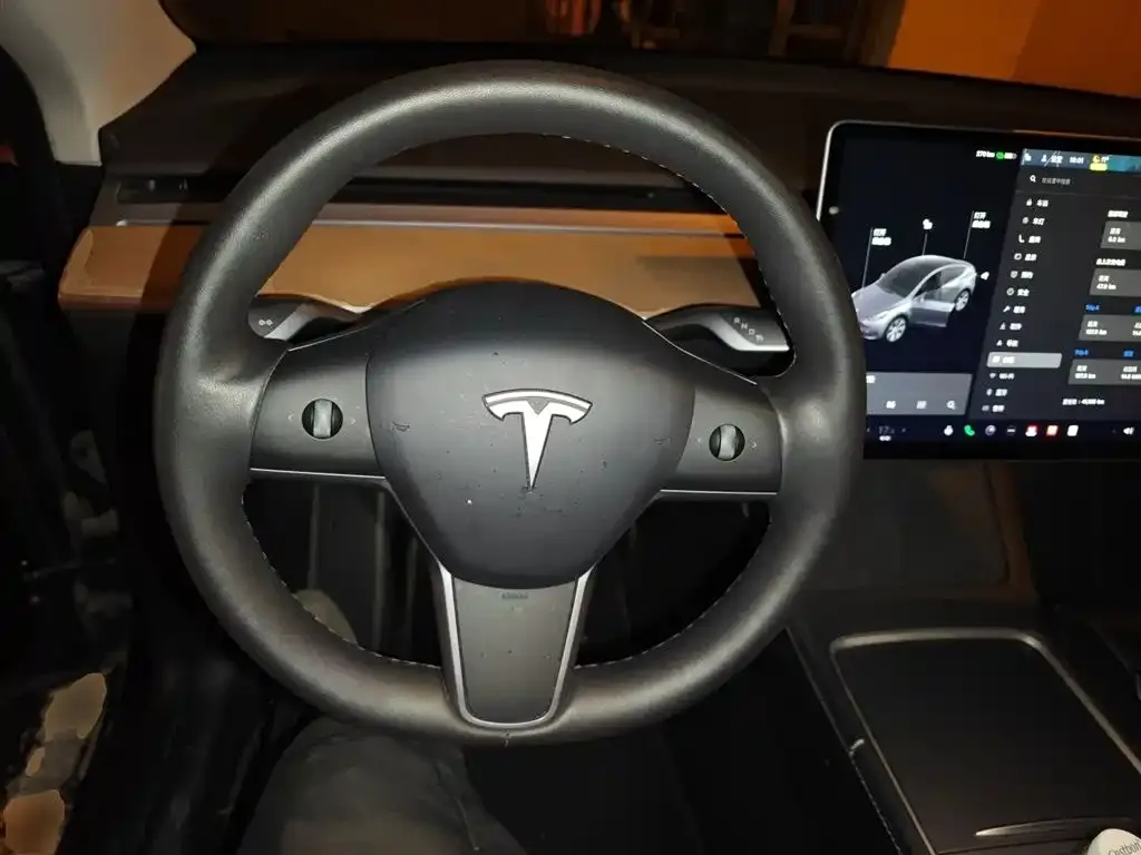 Tesla Model Y 2021 из CN, фото 3