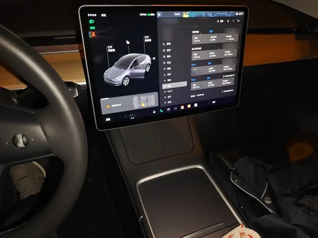 Tesla Model Y 2021 из CN, фото 6