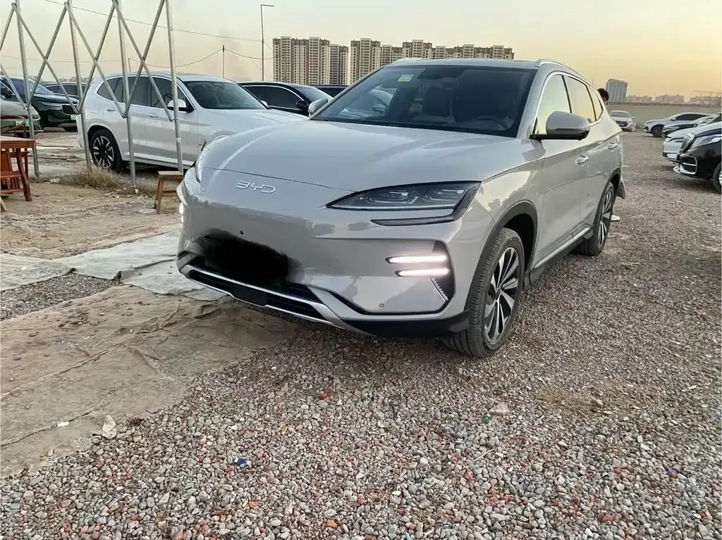 BYD PLUS New Energy 2024 из CN, фото 1