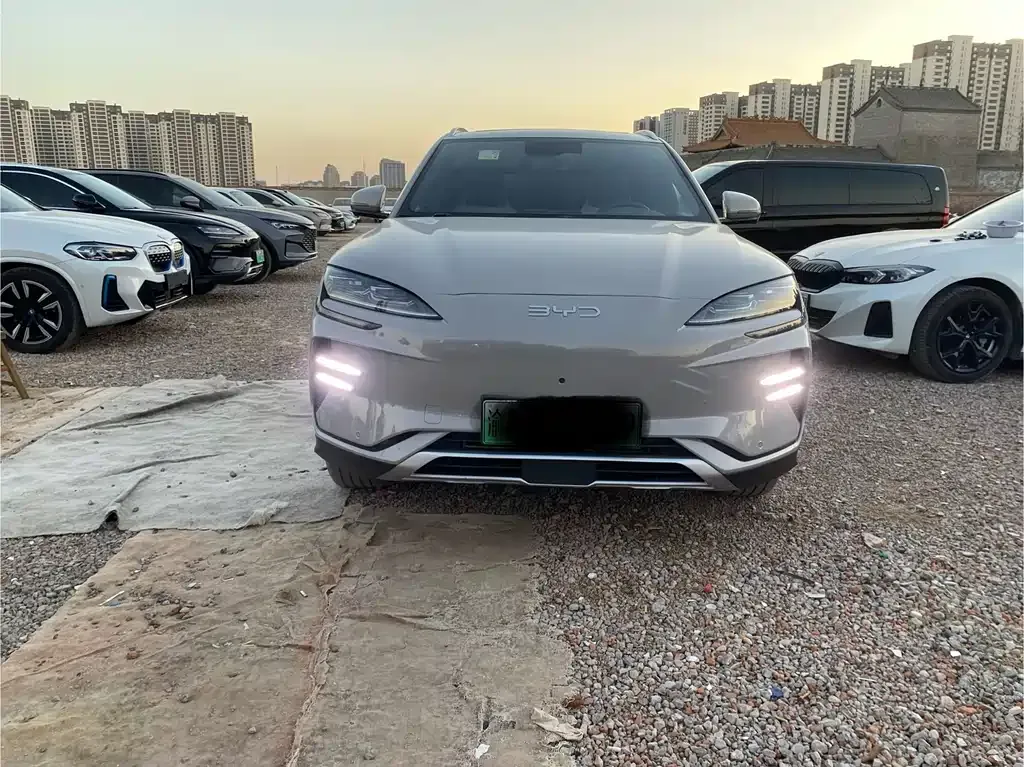 BYD PLUS New Energy 2024 из CN, фото 2