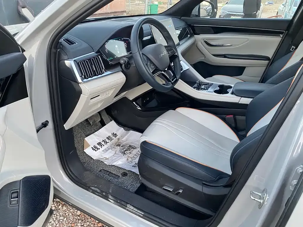 BYD PLUS New Energy 2024 из CN, фото 4
