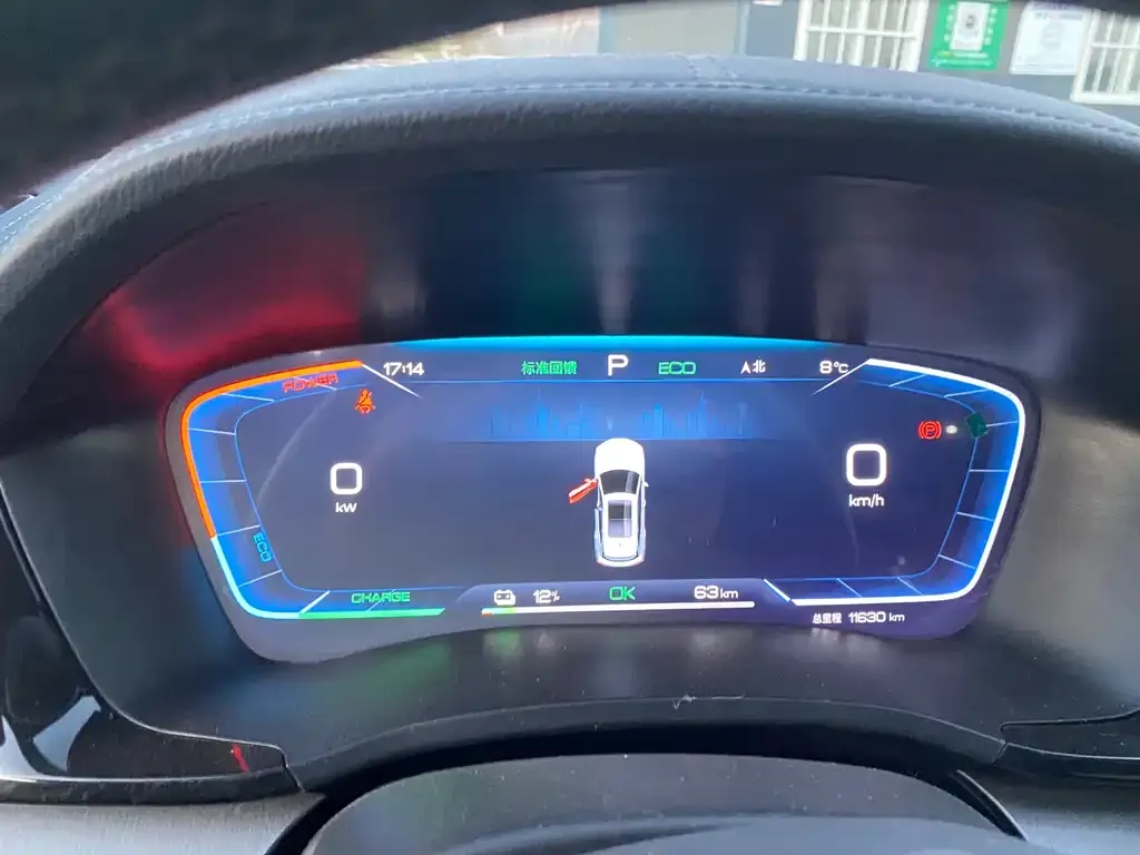 BYD PLUS New Energy 2024 из CN, фото 5