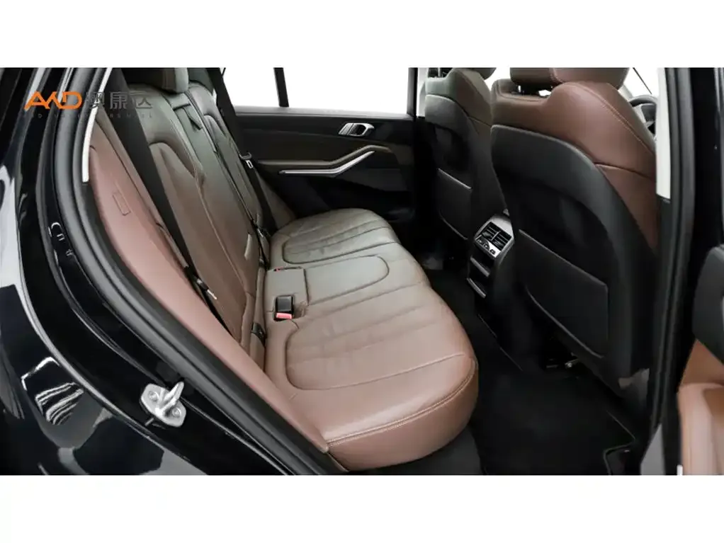 BMW X5 (Import) 2022 из CN, фото 8