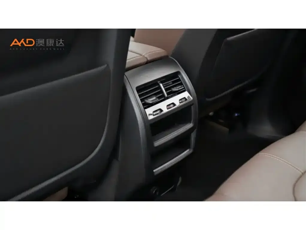 BMW X5 (Import) 2022 из CN, фото 9