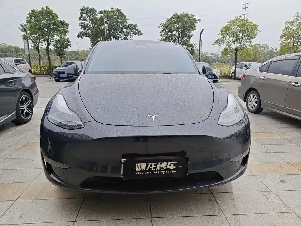 Tesla Model Y 2024 из CN, фото 2