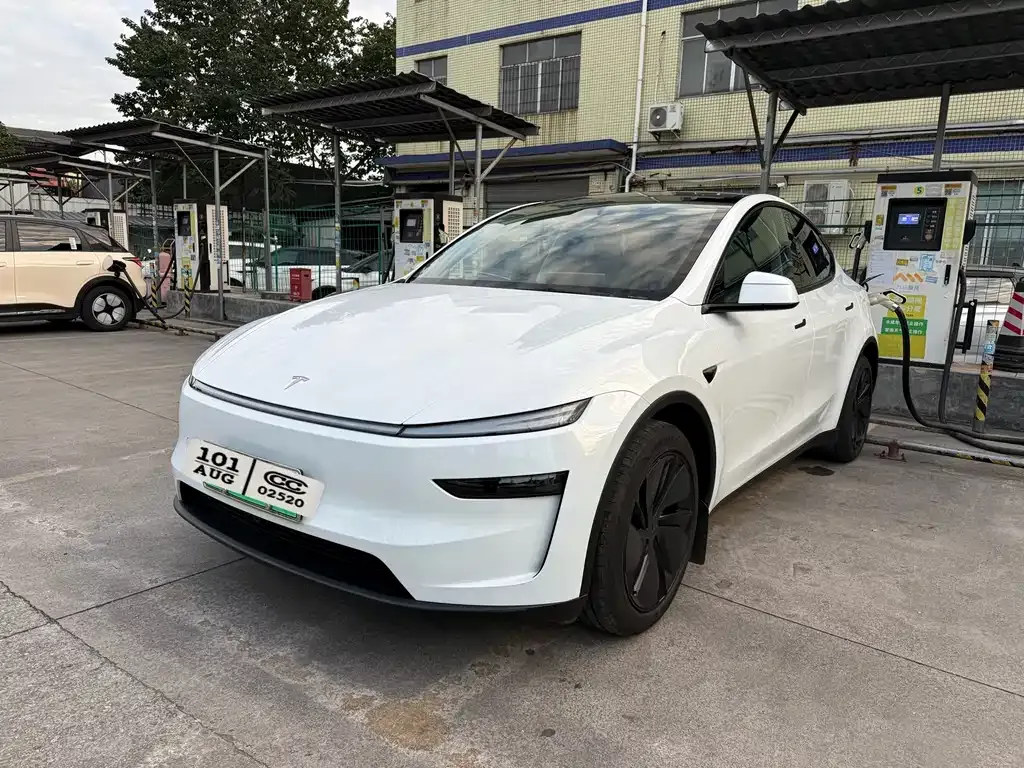 Tesla Model Y 2025 из CN, фото 1