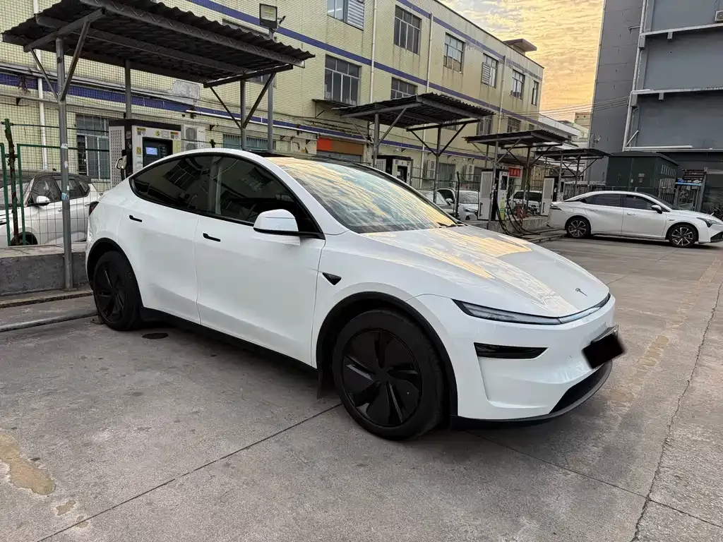 Tesla Model Y 2025 из CN, фото 2