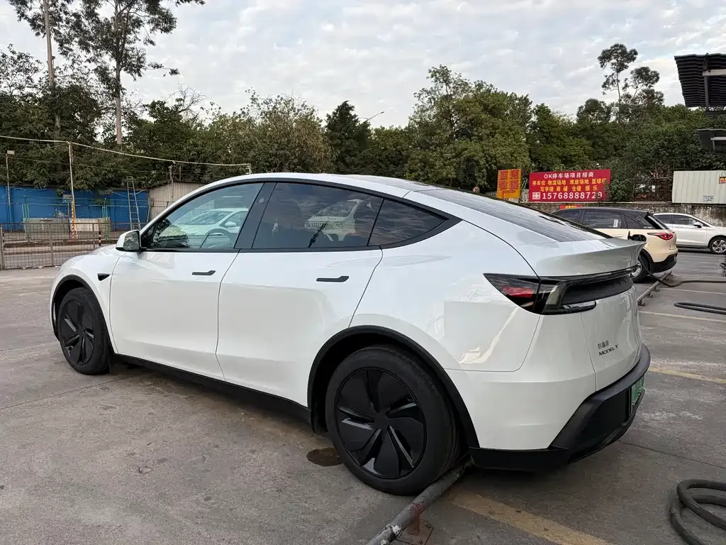Tesla Model Y 2025 из CN, фото 4
