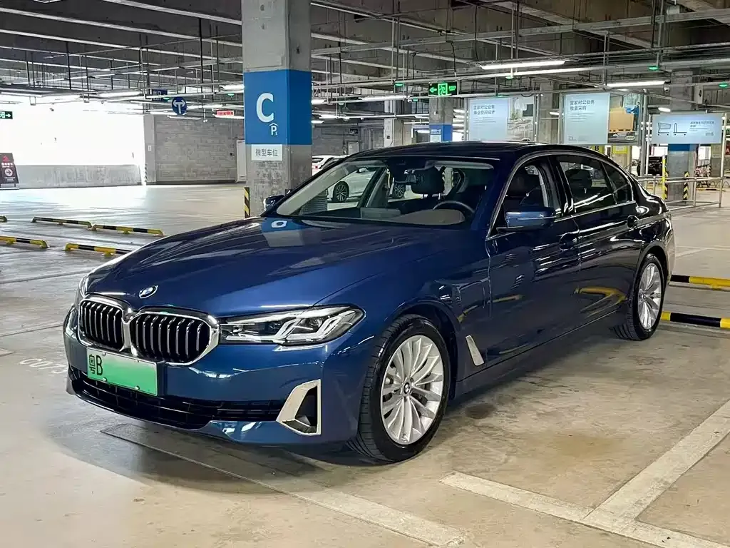 BMW 5 Series New Energy 2021 из CN, фото 1