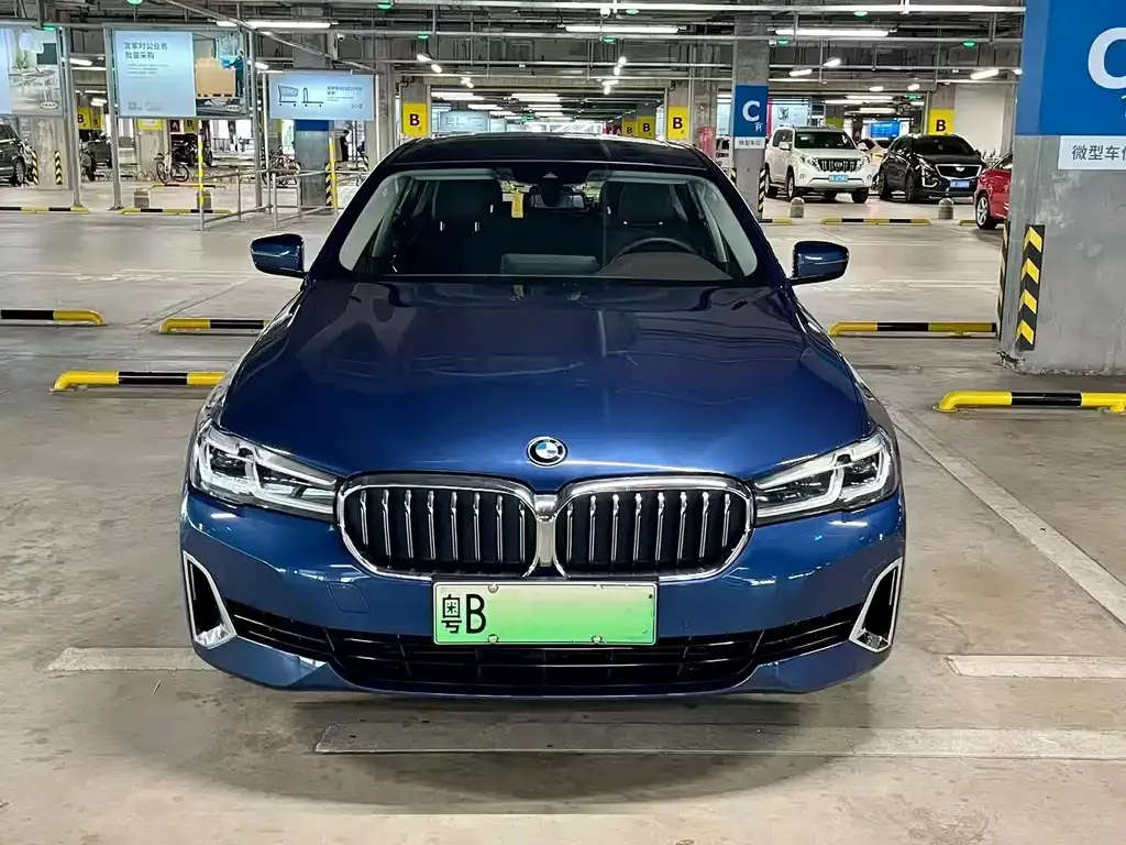 BMW 5 Series New Energy 2021 из CN, фото 3