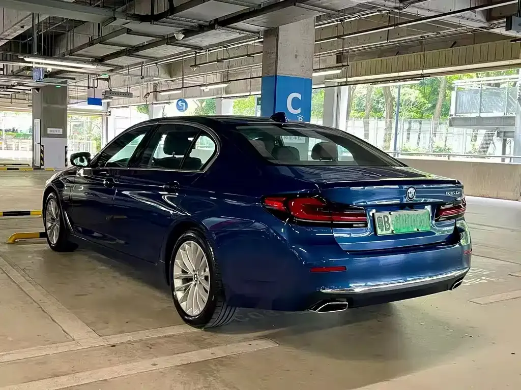 BMW 5 Series New Energy 2021 из CN, фото 7